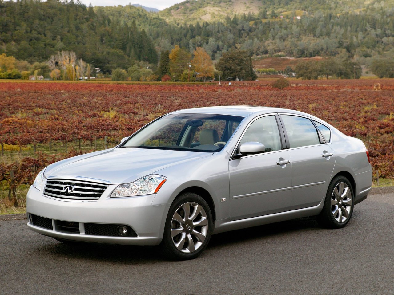 2004 - 2008 Y50